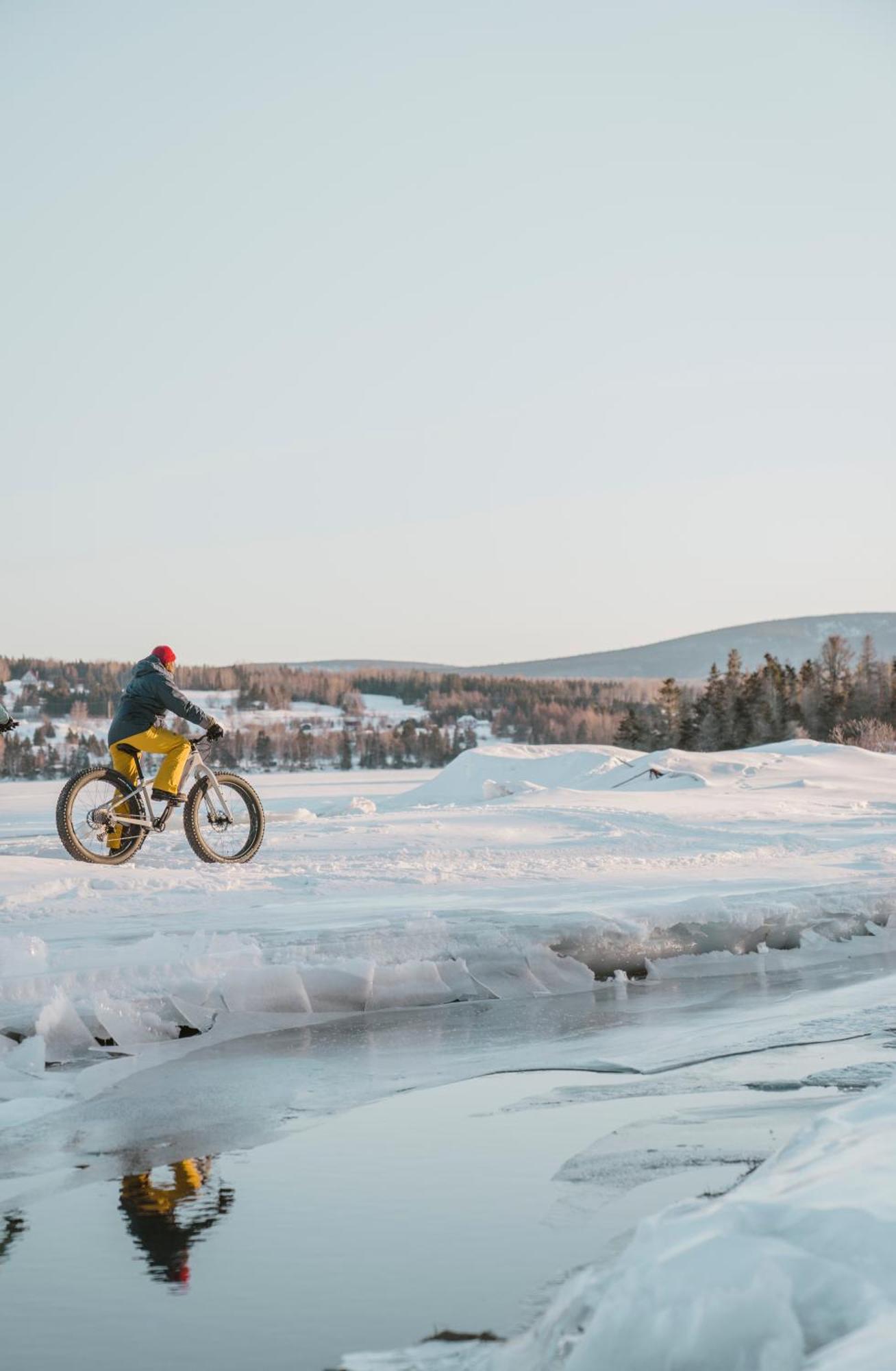 Chalets Du Bout Du Monde Gaspé Dış mekan fotoğraf